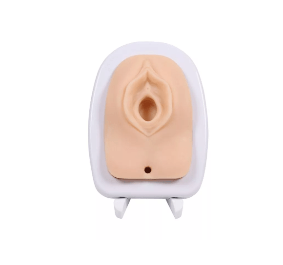 Episiotomie Simulator - Erler - Zimmer